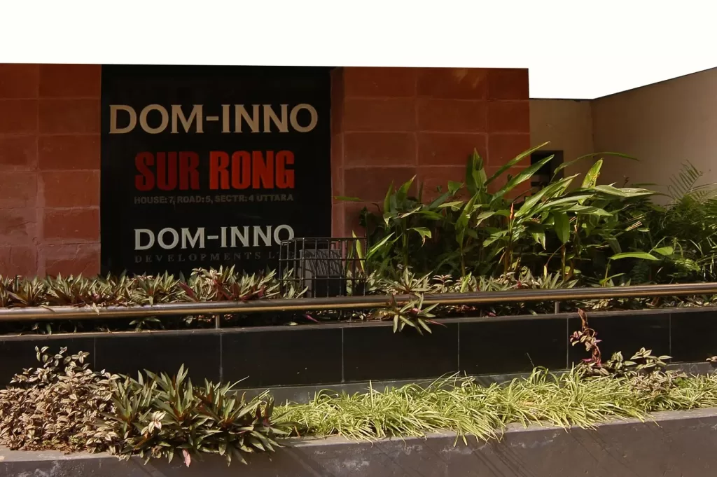 DOM INNO SUR RONG: A Step Ahead of Time in Initiating Change